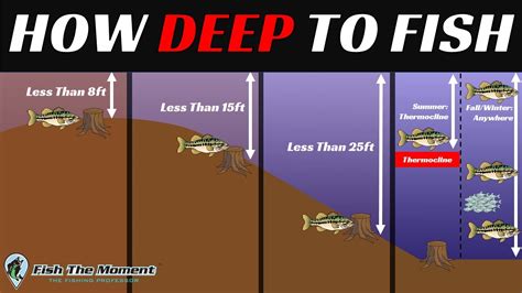 depth of fish|Deep.